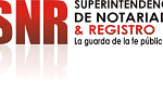 LOGO_SNR – copia