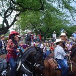 Decreto reglamenta realización de cabalgatas