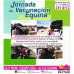 Jornada de Vacunación Equina