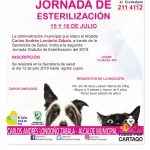 Jornada de Esterilización