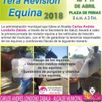Primera Revisión Equina