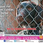 El Que No Sabe Cuidar, No Debe Tener.