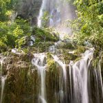 Crearán Fuerza de Protección Ambiental