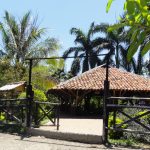 Alianza pro Parque de la Salud