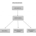 ORGANIGRAMA