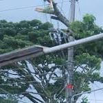 Más semáforos para la ciudad