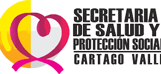 La Política de Participación Social en Salud (PPSS) está regulada en la Resolución 2063 de 2017 del Ministerio de Salud y fue adoptada en el Municipio de Cartago a través del Decreto 135 del 02 de junio de 2021 (anexo).