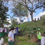 Gobierno de Cartago continúa con la siembra de árboles